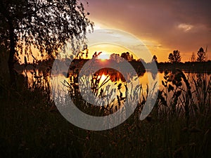 Orange sunset over the lake due to tall grass