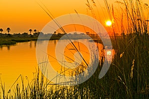 An Orange Sunset over the Okavango Delta