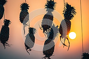 Orange sunset pineapple and sun India Kerala