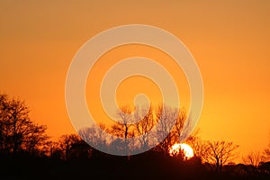 Orange sunset sky with sihouettes of trees