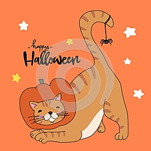 Orange tabby cat in pumpkin Halloween costume cartoon illustration