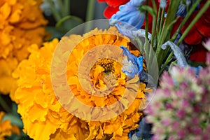 Orange tagetes flower in autumn bouquet