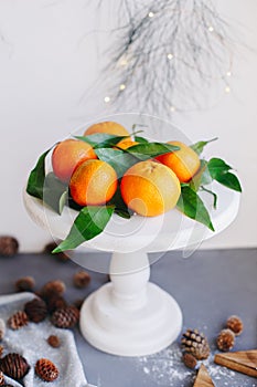 Orange tangerines on grey background in New Year`s decor with brown pine cones and green leaves. Christmas decoration with