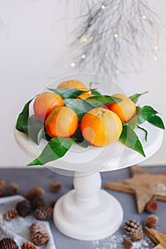 Orange tangerines on grey background in New Year`s decor with brown pine cones and green leaves. Christmas decoration with