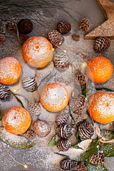 Orange tangerines on grey background in New Year`s decor with brown pine cones and green leaves. Christmas decoration with