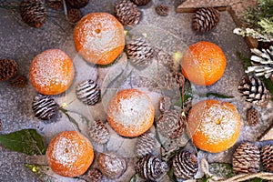 Orange tangerines on grey background in New Year`s decor with brown pine cones and green leaves. Christmas decoration with