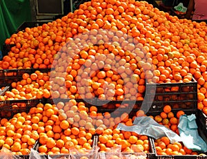 Orange tangerines mound in market vivid citrus