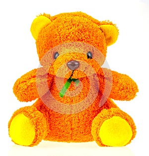 Orange Teddy Bear White background.