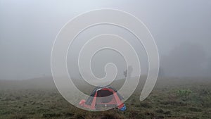 Orange tent in the middle of savanna camping ground with thick fog