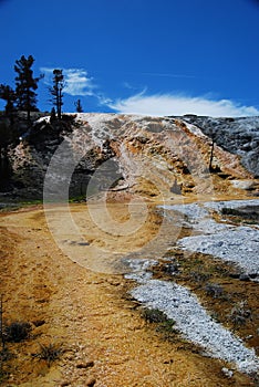 Orange Thermophiles At Mammoth Hot Springs