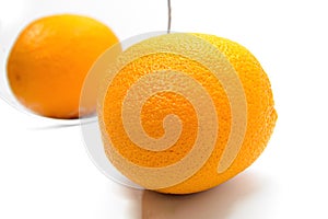 Orange with thick peel in cosmetic mirror on white background. Metaphor of cellulite treatment