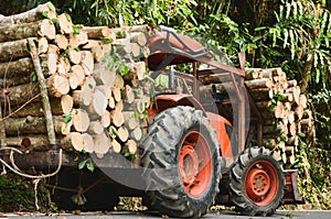 Orange tractor JCB or Truck loading wood in the forest