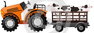 Orange tractor with two cows on wagon