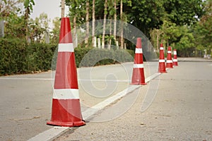 orange traffic cones on the road at the park.