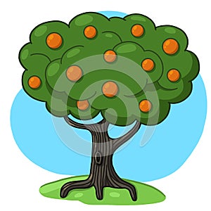 Orange tree filled with fruits illustration