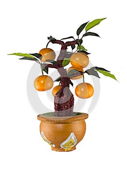 Orange tree model