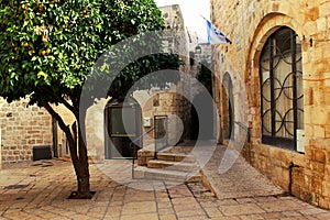 Orange tree on the street in the center of the old city of Jerusalem.