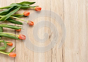 Orange Tulips on Brown Wooden Background