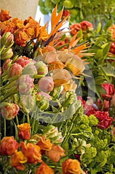 Orange tulips in flowershop
