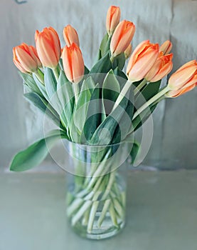 Orange Tulips Vase