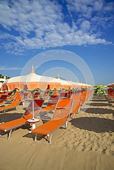 Orange umbrellas and chaise lounges on the beach of Rimini in It