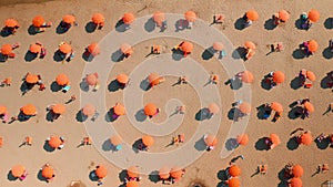 Orange umbrellas and deck chairs installed on sunny beach