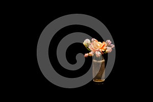 Orange watercolor flower into a riffle bullet symbolizing flower