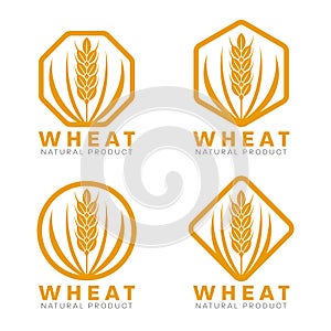 Orange Wheat rice logo sign vector design