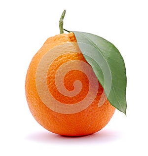 Arancia su bianco 
