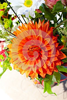 Orange and White Flowers