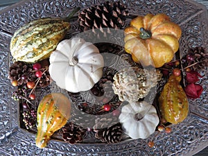 Small pumpkins and gourds of various colors, displayed on platters from various angles and depth