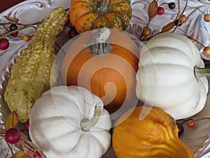 Small pumpkins and gourds of various colors, displayed on platters from various angles and depth