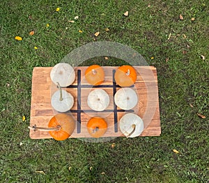 Orange and white pumpkins on a table in the garden, a game of crosses and zeroes