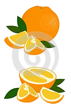 Orange whole, half and slice of orange with leaves on white background. Citrus fruit. Raster illustration of oranges on