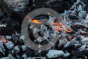 Orange wild fire on black coal prepared for barbecue grill