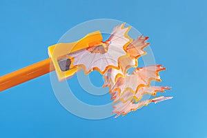 Orange wooden pencil with shavings in a stationery sharpener on a blue background.