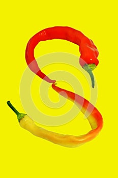 Orange and yellow chili peppers on yellow background