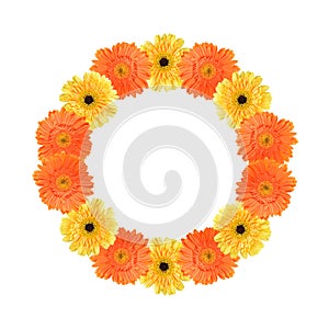 Orange and yellow daisy circle frame