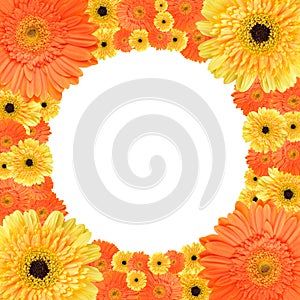 Orange and yellow daisy circular frame