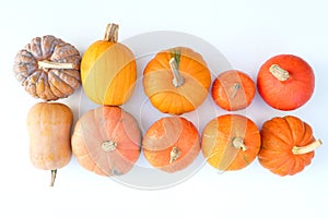 Orange and yellow different pumpkins