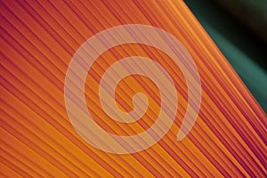 Orange yellow fabric line abstract background