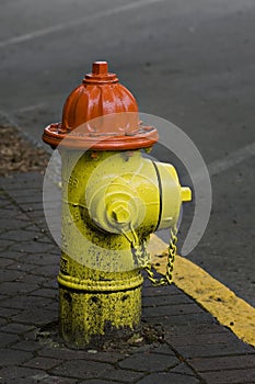 Orange and yellow fire hydrant