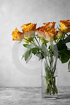 Orange yellow rose flowers bouquet in glass vase, grey background, day light