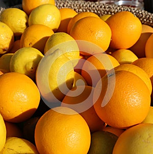 Orange and yellow Sicilian lemons for sale in greengrocers shop photo