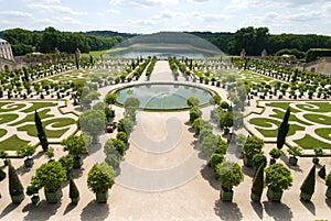 The orangerie of versailles