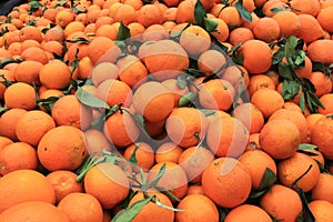 Oranges