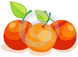 oranges
