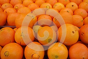 Oranges