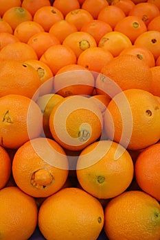 Oranges
