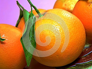 Oranges photo